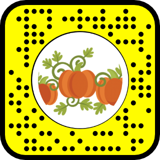 Scannable code to try the Pumpkins filter