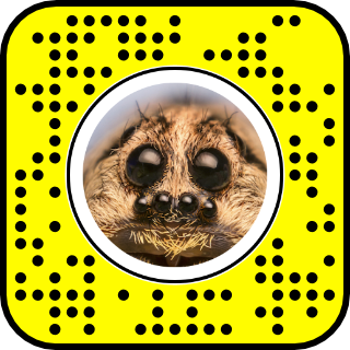 Scannable code to try the Spider Eyes filter