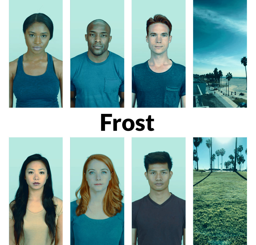 Frost LUT