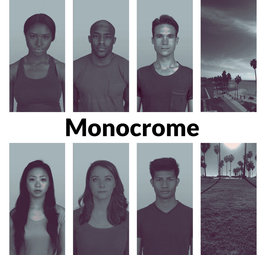 Monocrome LUT