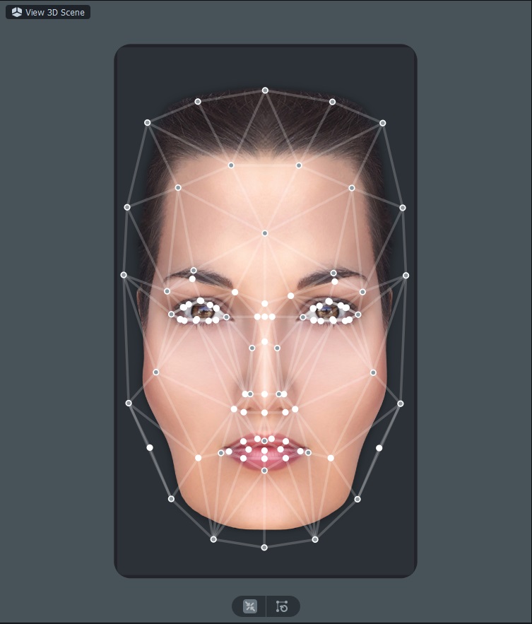 Face stretch control points