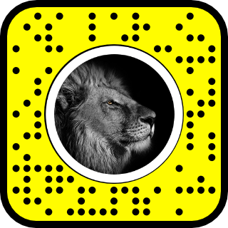 Snapcode for lens with adjustable background blur