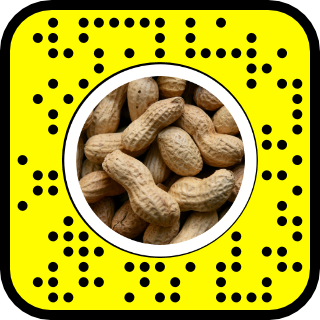 Snapcode for peanut lens