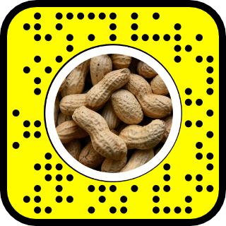 Make Your Own Potato Boss Style Lens For Snapchat And Snap Camera